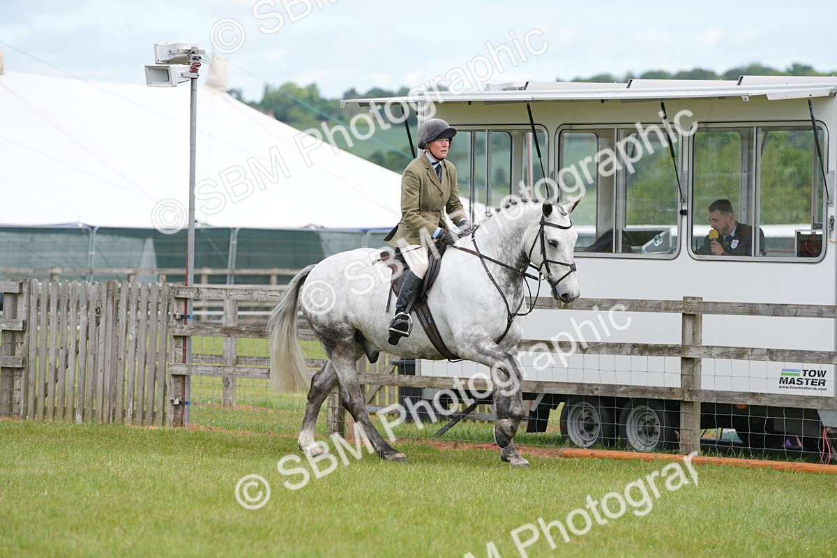 SBM_14878 - Class 100-102 - RIHS Working Hunter