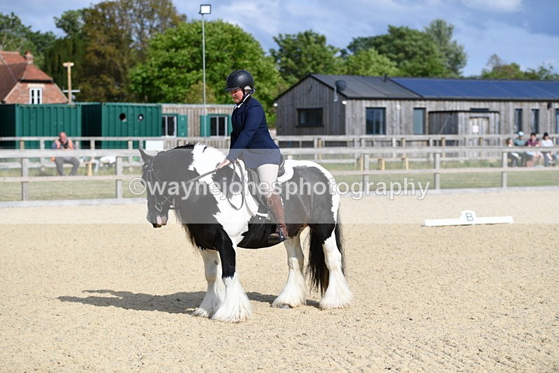 WJ5_7794 - Time 16:40 to 16:55