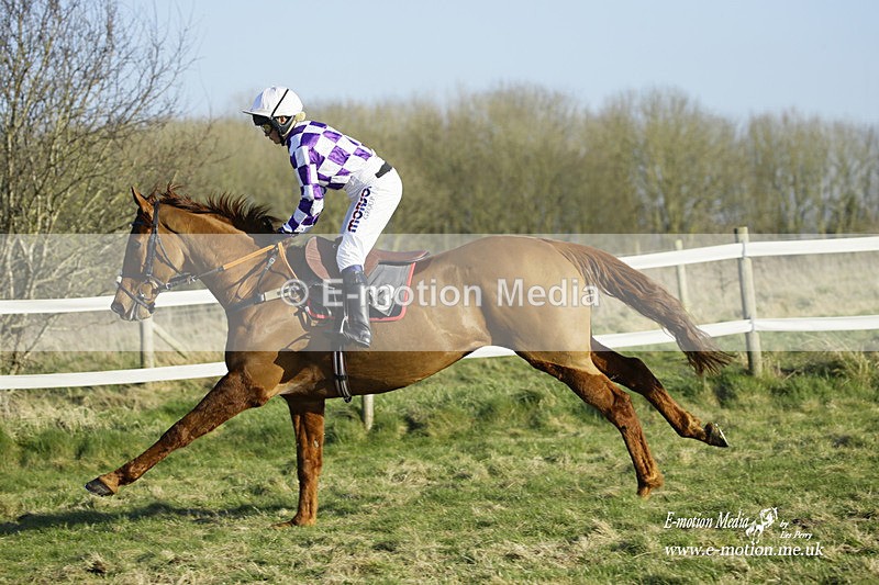 PtP 270222 442 - South & West Wilts Point-to-Point Larkhill 27/02/22