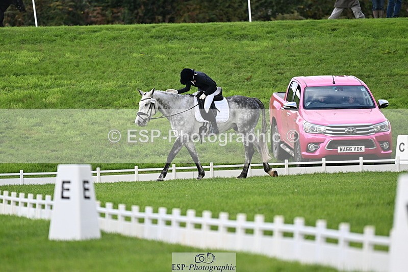 251023A-104843-02611 - G-509-Millie.Bloomfield