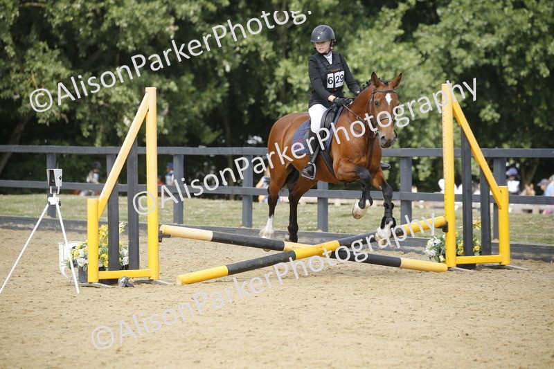 20250622-3920 - 50cm