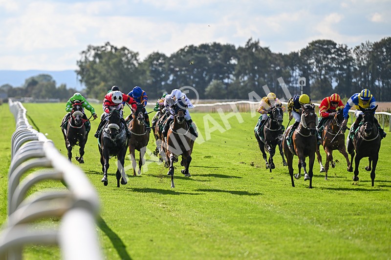 140926-Race 4-Lamlash Bay-7206 - Race 4 3.51pm Sapphire Selling Handicap