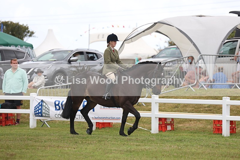 3E7A1380 - Class 9: Open Hunter