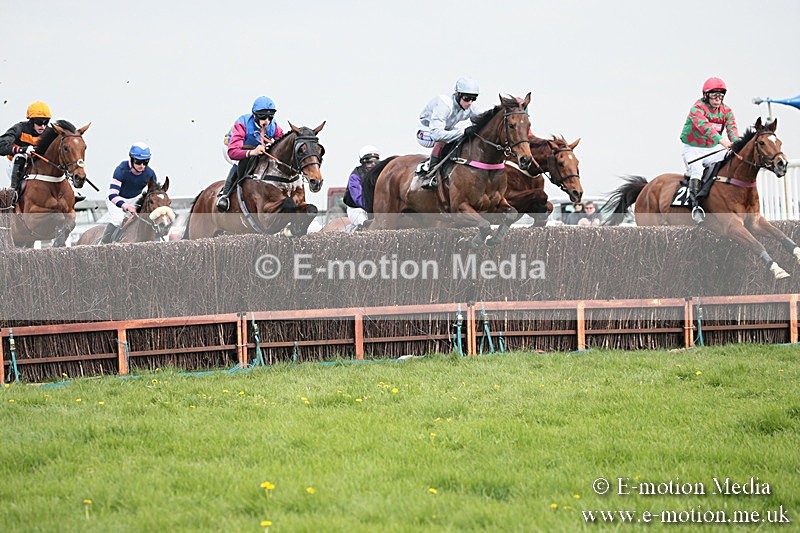 PtP 210418 332 - South & West Wilts Point-to-Point Larkhill 21/04/18