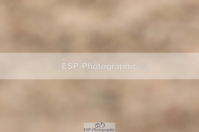 250622-135033-17105 - Cls 51 Elementary 6