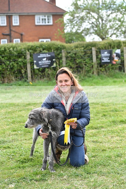 WJ5_9405 - Class 1 Best Cross Breed / Heniz 57