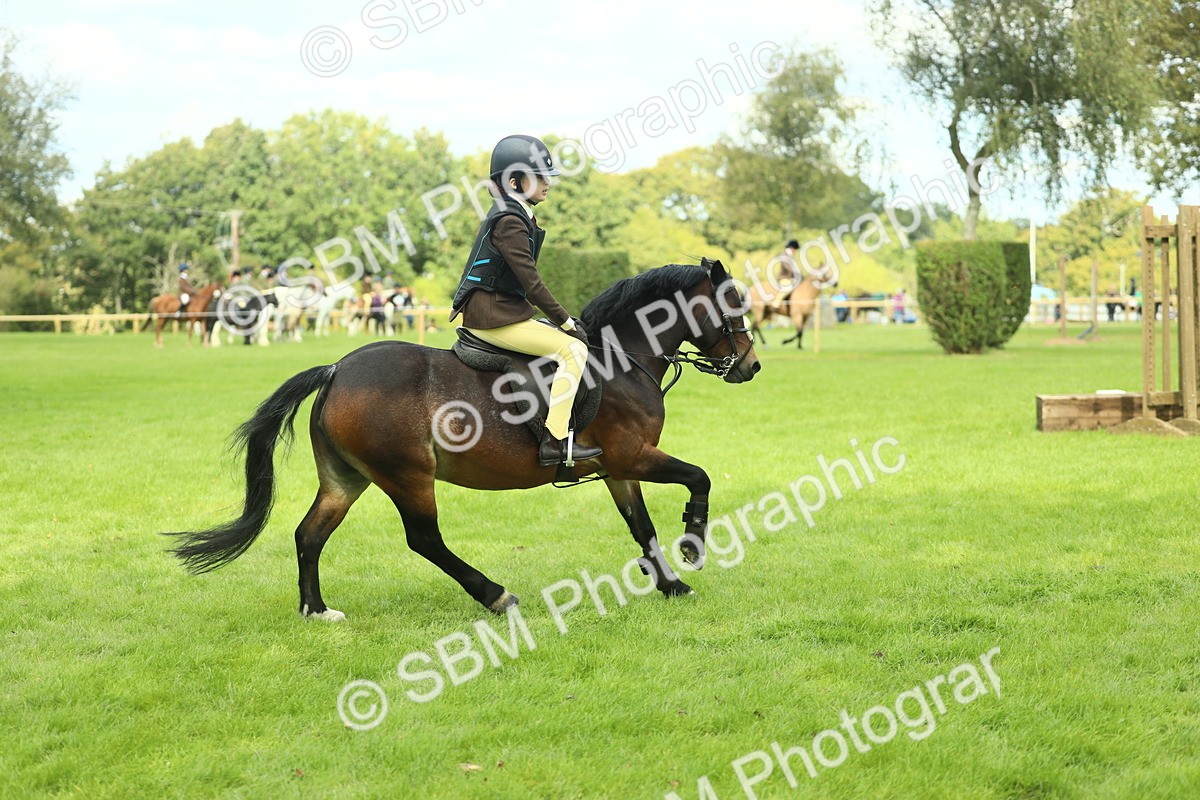 SBM_42756 - S30 - M&M Working hunter Pony