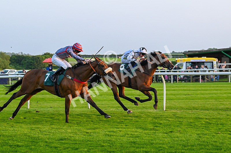 310524-Race 5-Dusk Dame-8946 - Race 5