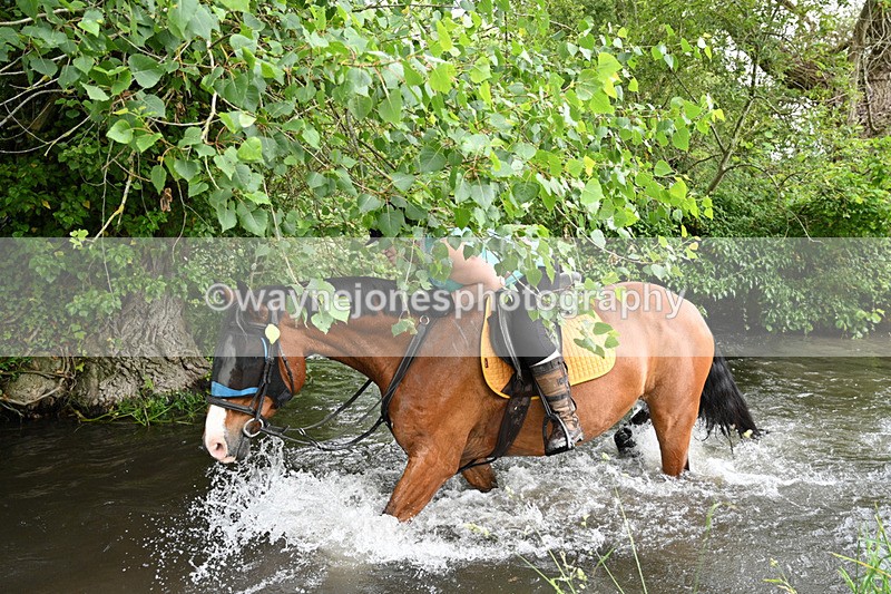 WJ7_2483 - Camera 2 Water Crossing