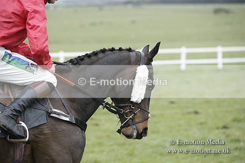 PtP 150320 0271 - New Forest Point-to-Point Larkhill 15/03/20