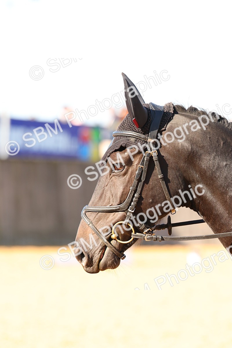 SBM_39746 - D18 - Grand Tour Championship - Novice 34