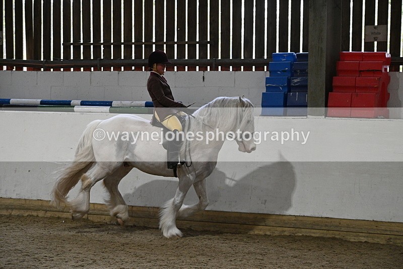 WJ7_4233 - Class 17 Ridden Cob