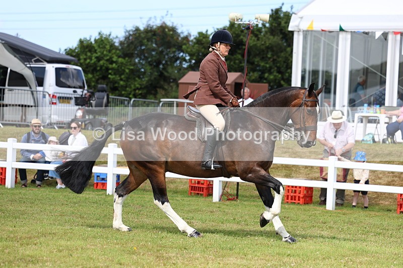 3E7A9722 - Class 5: Rising Star Lightweight/Heavyweight Cobs