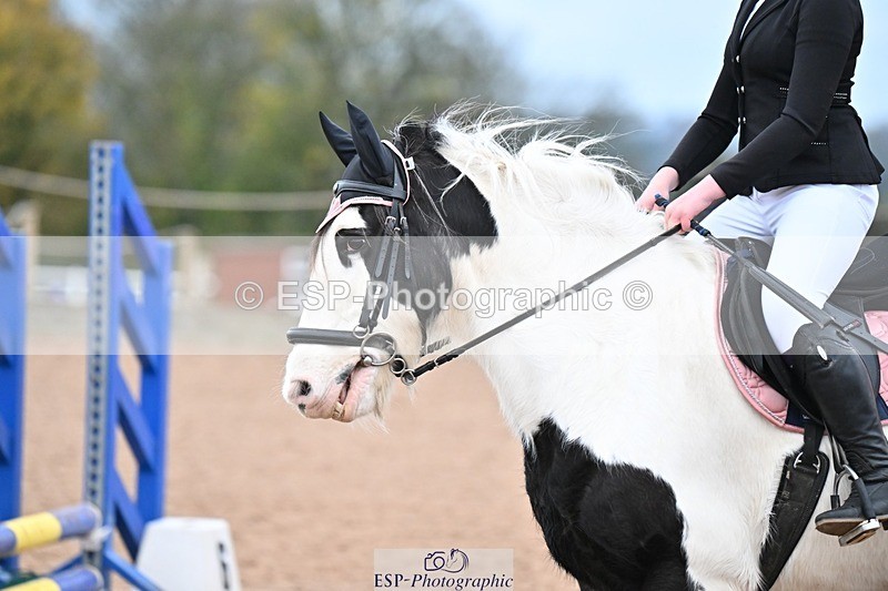 241116X-082955-00281 - Clear Round