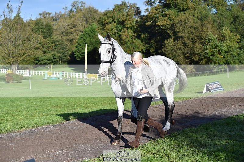 231022-100412-22222 - 474-MENELAUS-Elise.Washer-TrotUp+SJ