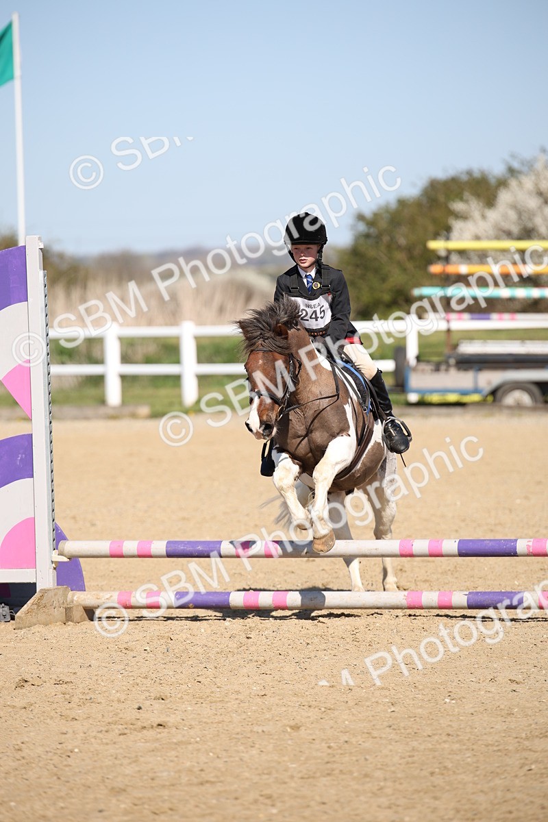 SBM_000767 - Class 2 - 50cm