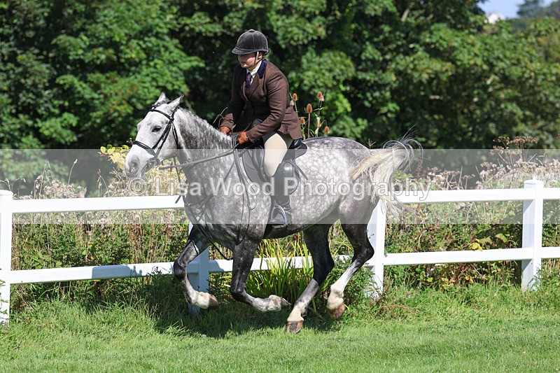 3E7A8411 - Class 4: Novice working Hunter