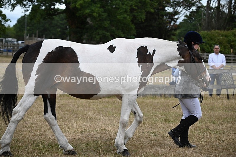 WJ6_8276 - Class 10 Coloured in Hand