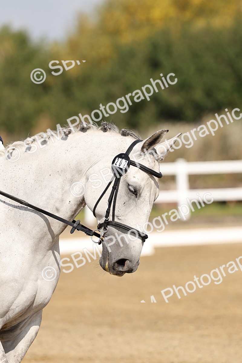 SBM_017419 - Class 12-14 - Intro 2-Prelim 5