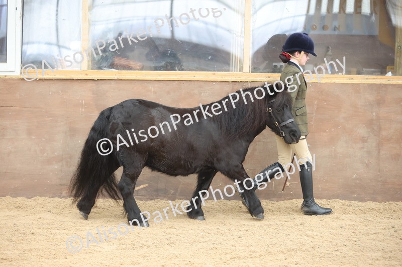 20251109-0148 - Class 8 - Young Handlers