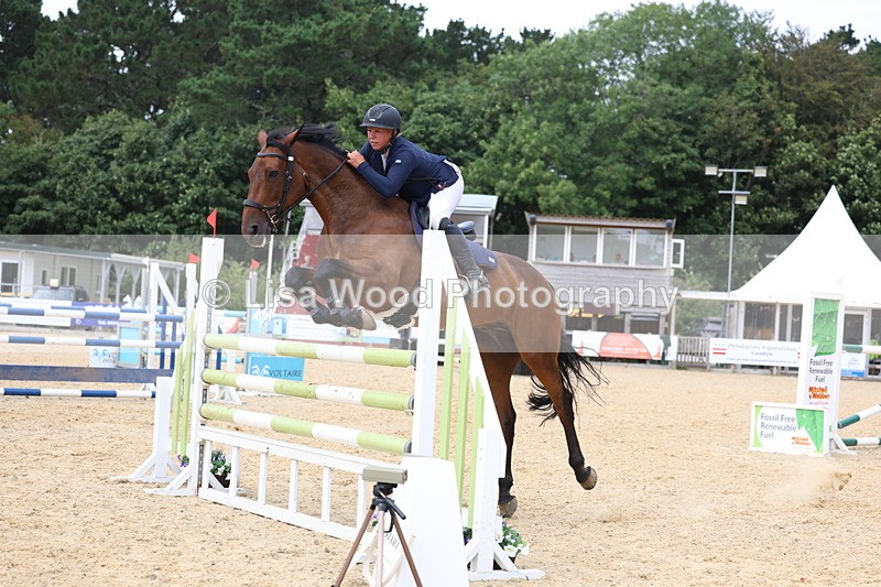 3E7A6553 - Class 9: Senior Foxhunter/1.20 open