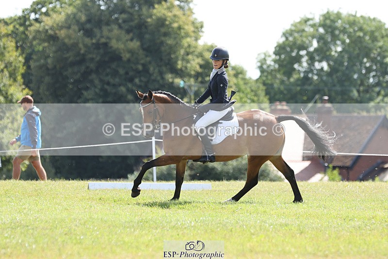 240824X-115307-26991 - D80 Section G and H 11.00 to 12.00