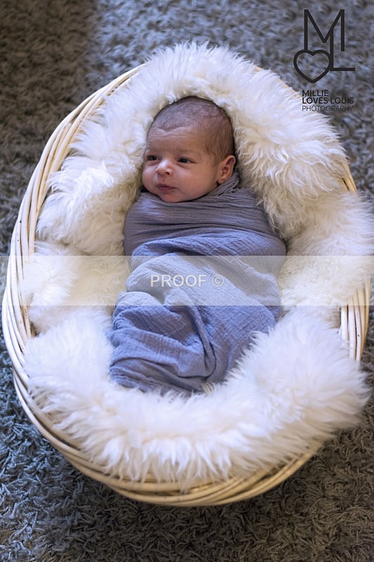 DSC_8948portfolio - Newborn Photoshoots