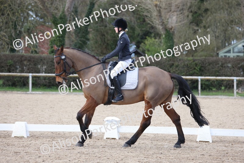 20260228-0819 - Class 6 - Novice 3