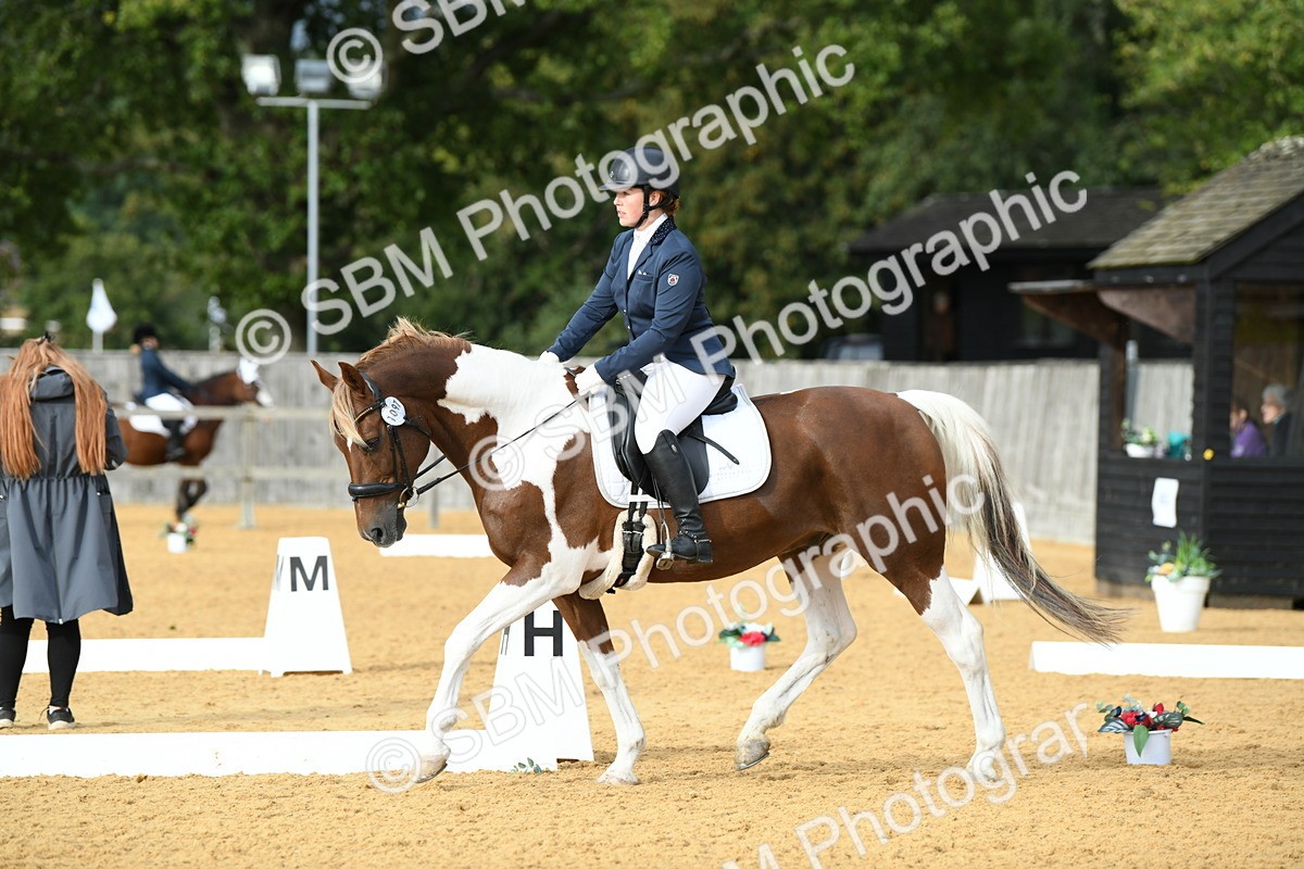 SBM_11041 - D28 Elementary Taster Elementary 42