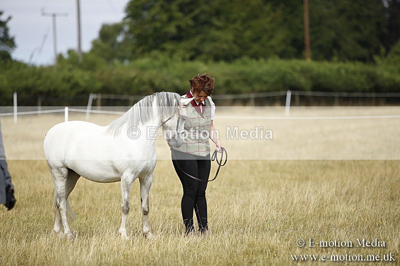 _C7A9641 - BVRC Sow 2018 Ring 2