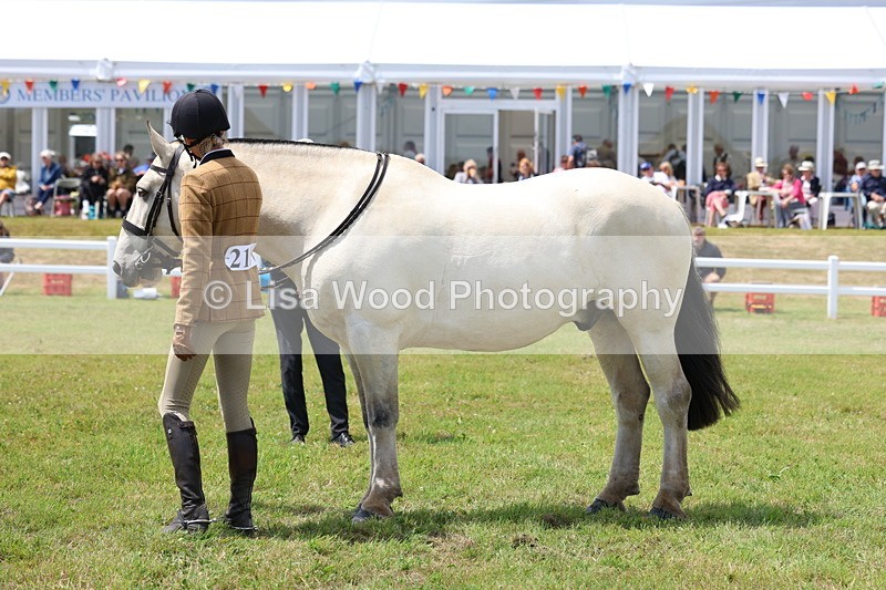 3E7A2252 - Class 10: Open Cob