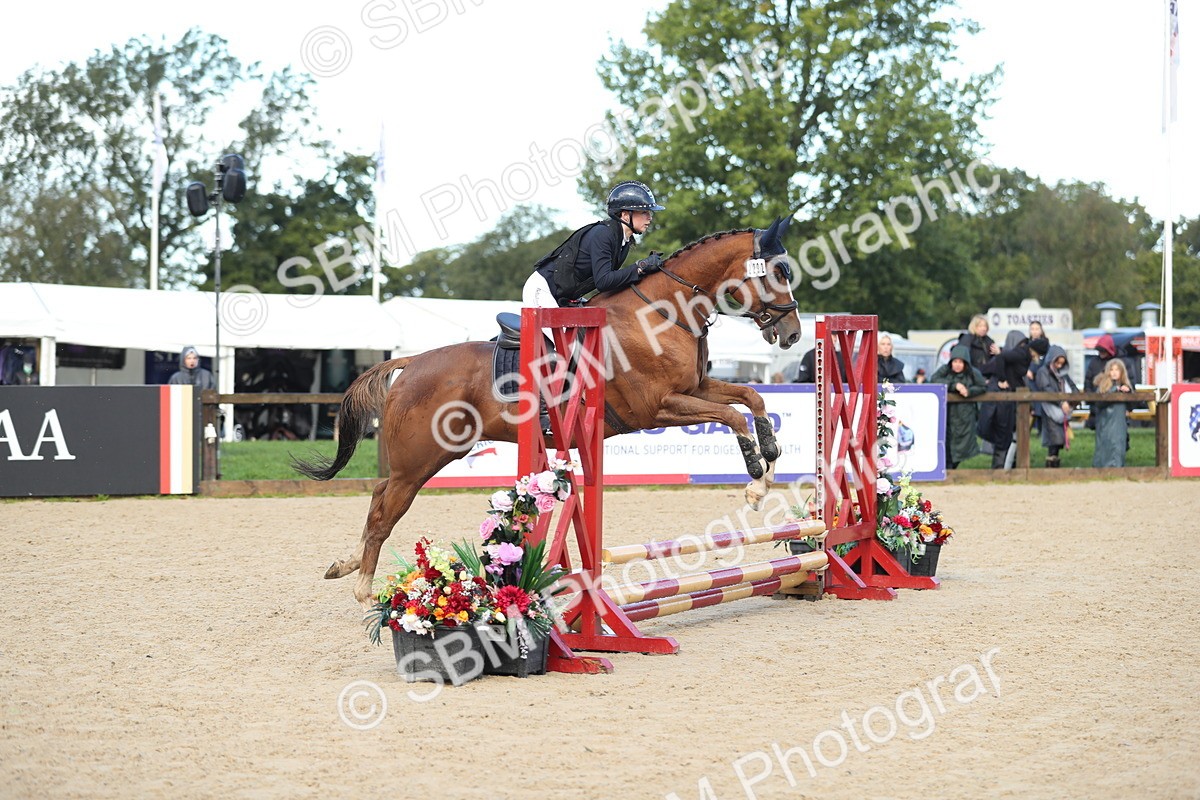 SBM_37308 - J20 - Junior Horse 50cm Championship