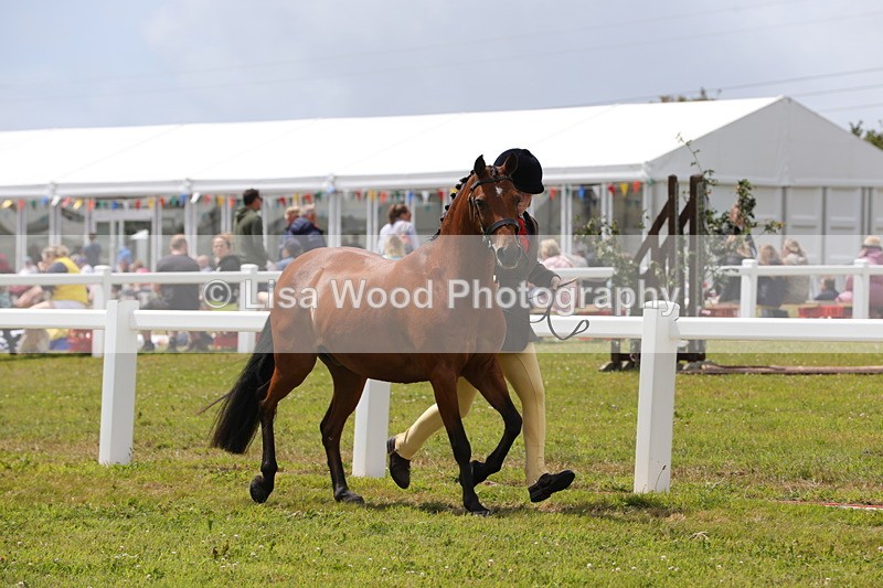 1X9A4720 - Class 35: Veteran In Hand