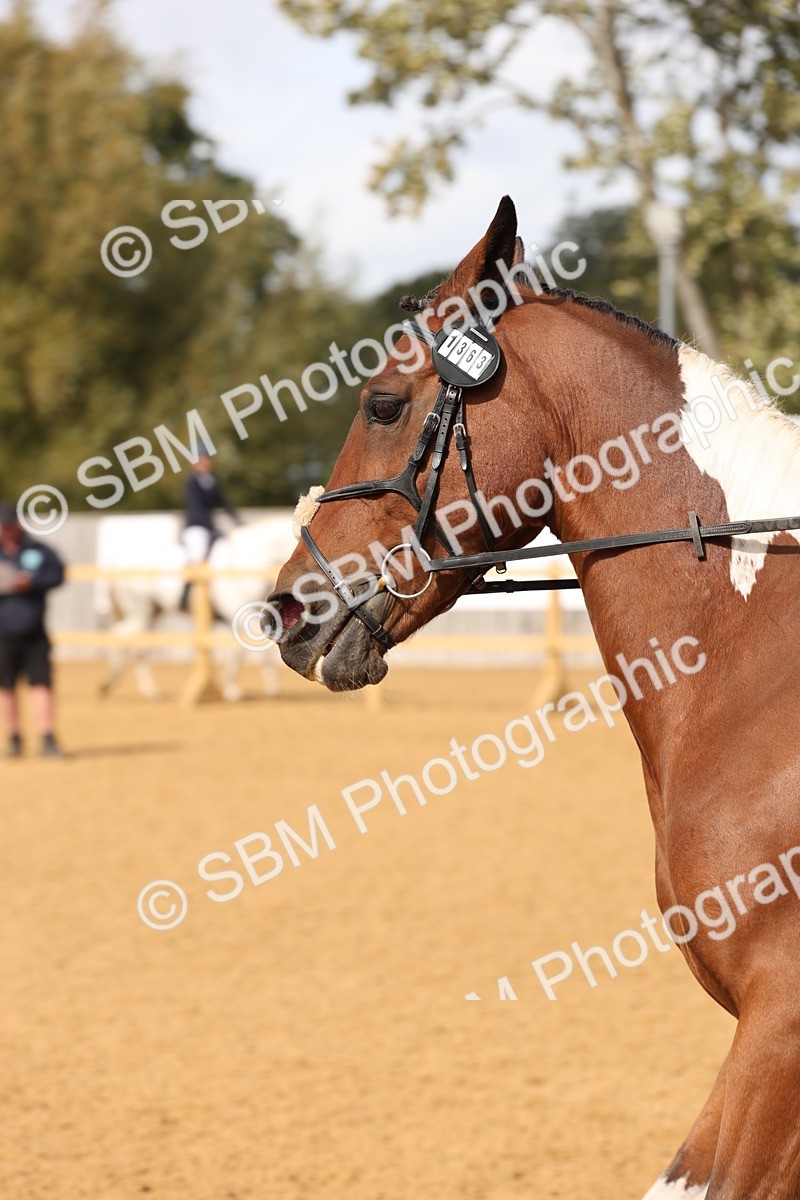 SBM_07366 - D30 - Small Tour PYO Open