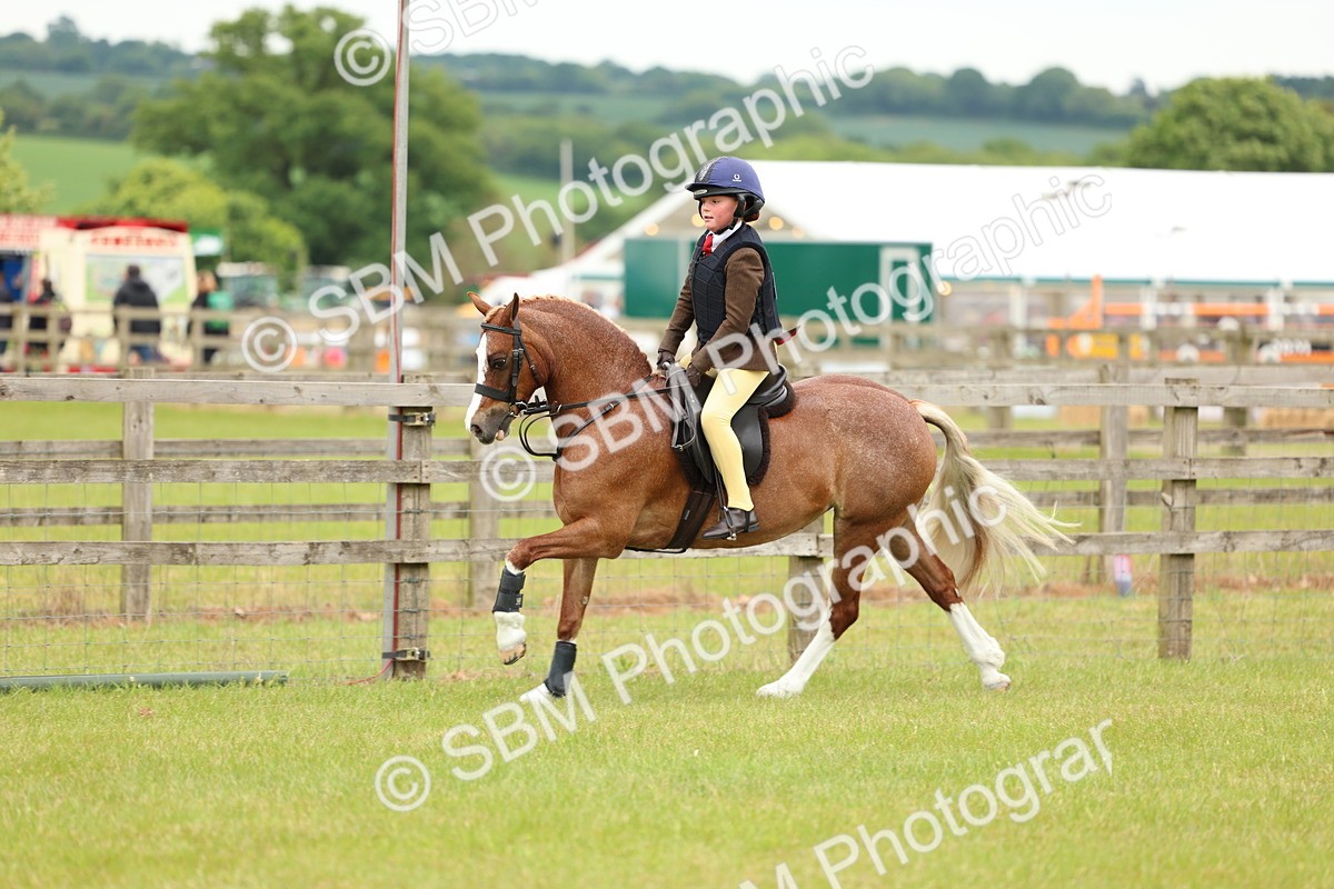 SBM_10274 - Class 44-45 - LIHS BSPS Open Nursery and Cradle Stakes