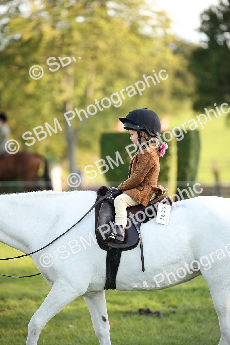 SBM_54461 - S27 - Mature Veteran - Ridden