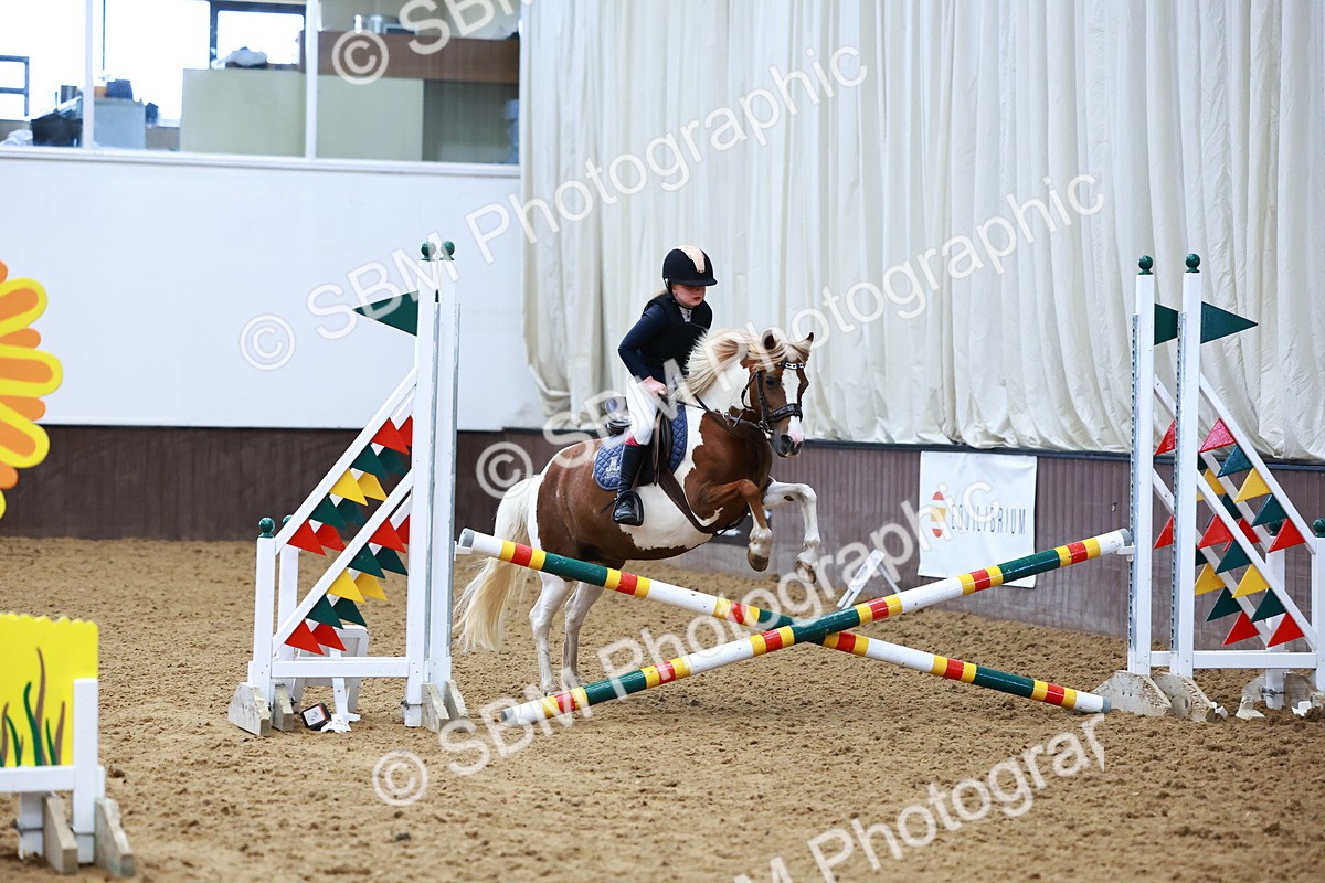SBM_000085 - 50cm