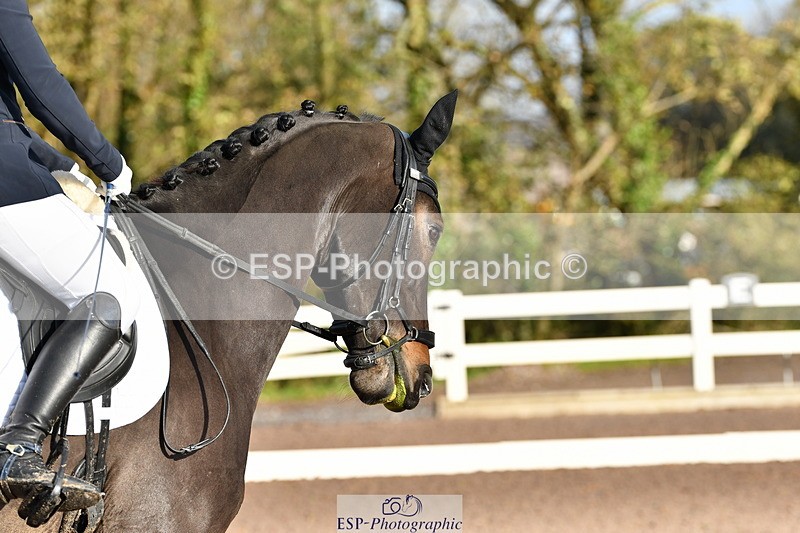 231104A-100745-00044 - Cls 6 Music Novice