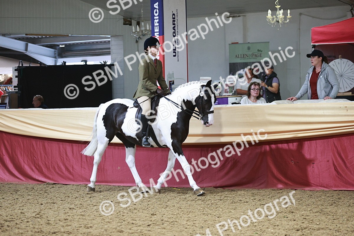 SBM_08802 - Class 12R - Regional Ridden Pre-Vet