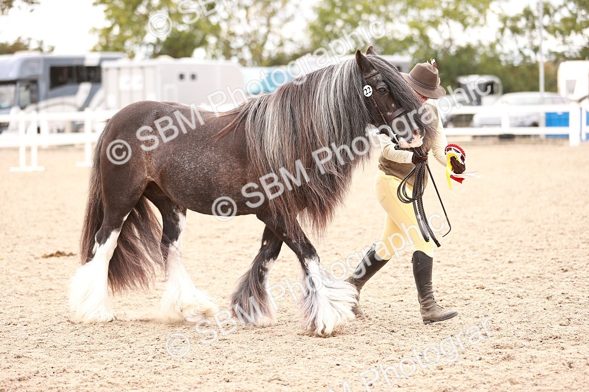 SBM_16878 - Class414 - Best maine & Tail - Adult