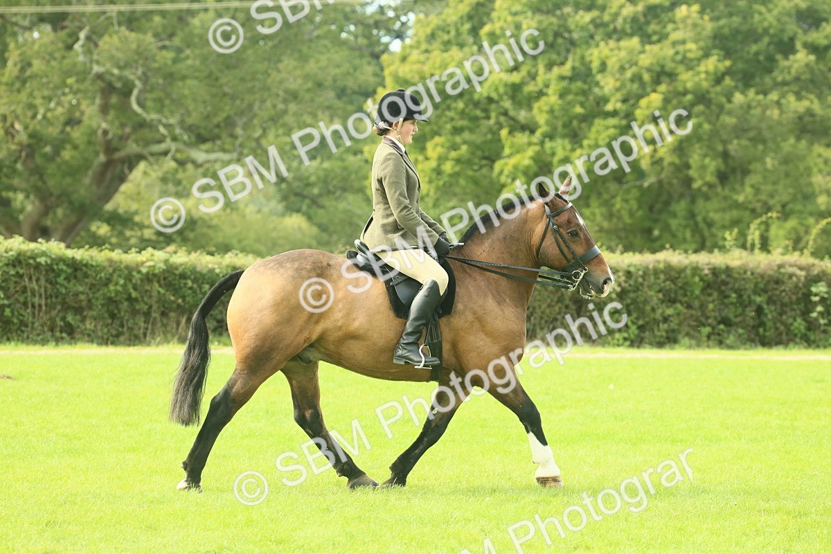 SBM_68213 - S58 - Mini Show Cob Ridden