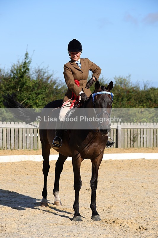 1X9A7638 - Class 7: Novice Ridden Hunter/Hack/Cob/Riding Horse