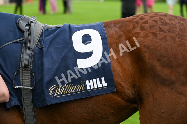 250524-Race 4-Term Of Endearment-3340 - Race 4 3.20pm William Hill Bronte Cup Fillies' Stakes