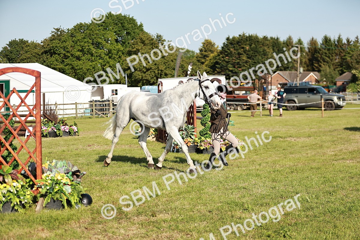 SBM_20029 - Class 115-116 - LIHS BSHA Rising Star Working Hunter & Show Horse