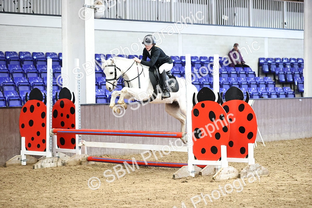 SBM_001511 - Class 9 - Pony British Novice 80cm