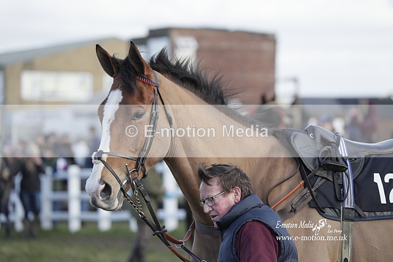PtP 260223 1009 - South & West Wilts Point-to-Point Larkhill 26/02/23