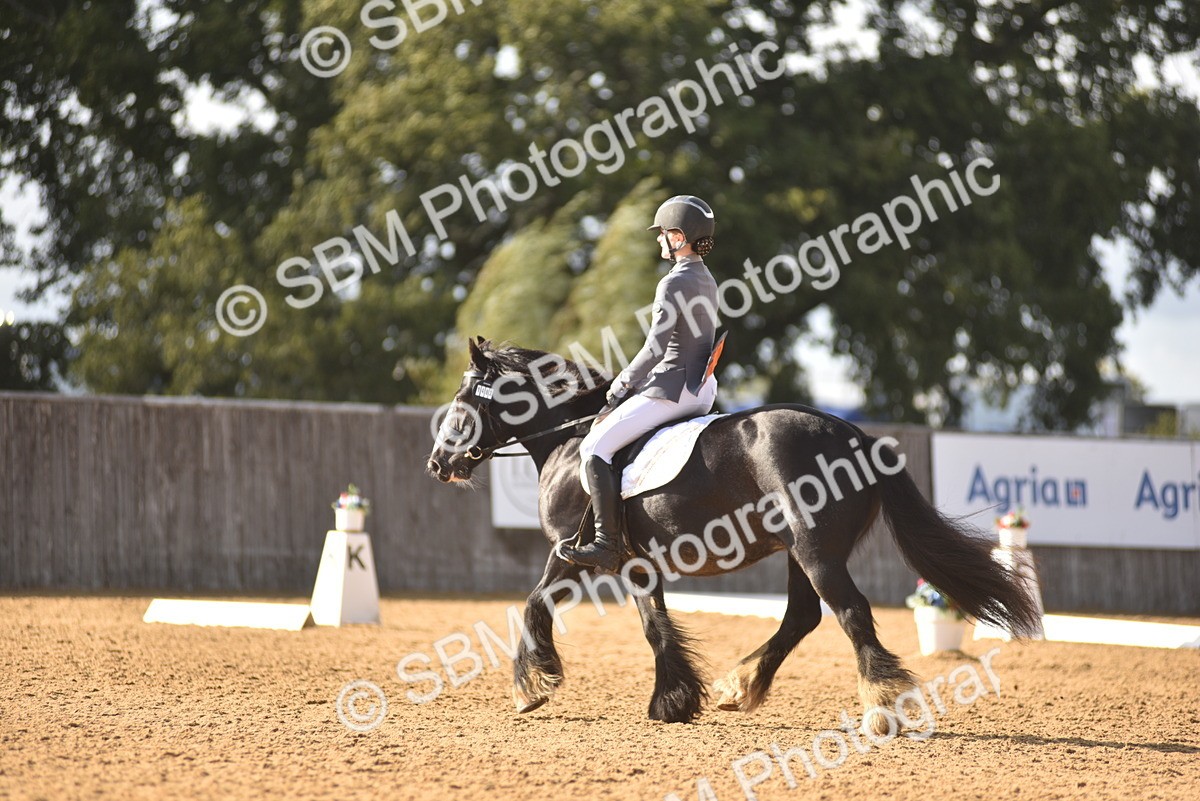 SBM_53212 - D24 - Junior Championship Prelim 3
