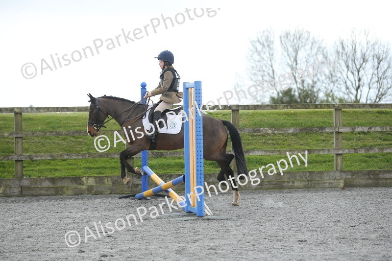 20260412-0735 - Show Jumping