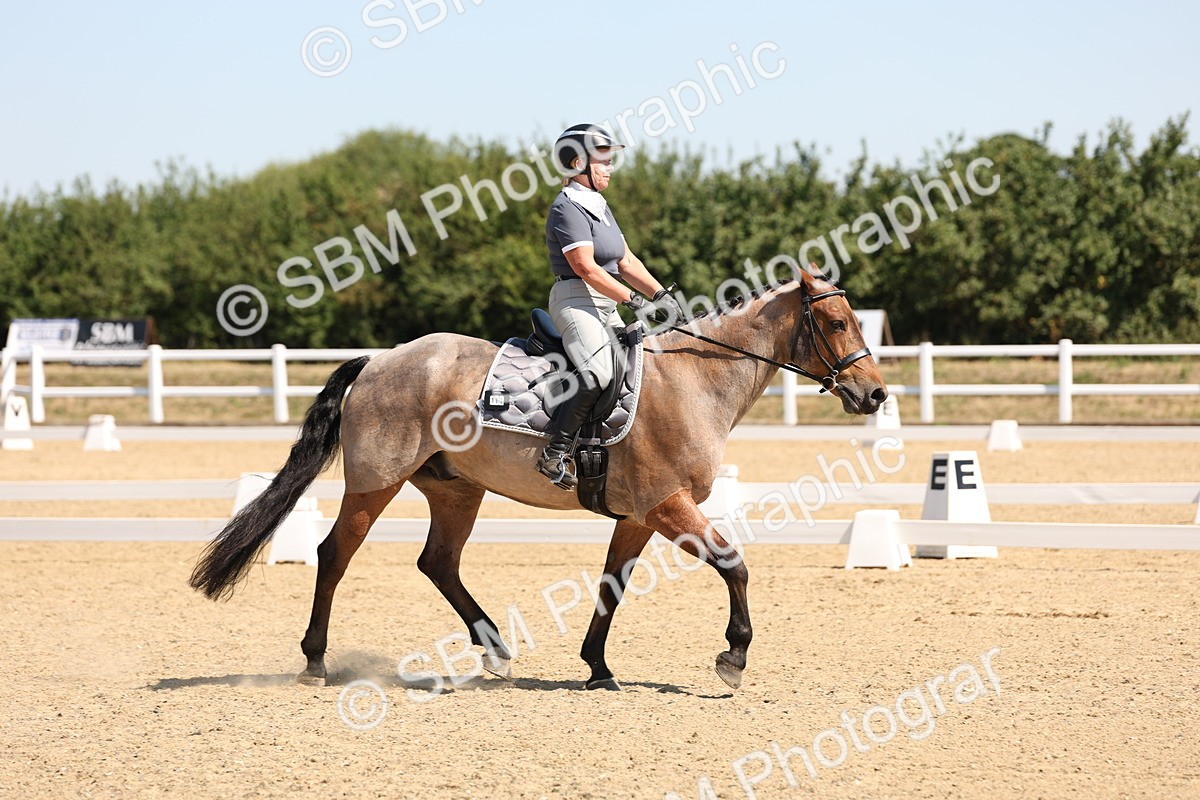 SBM_001164 - Intro 2