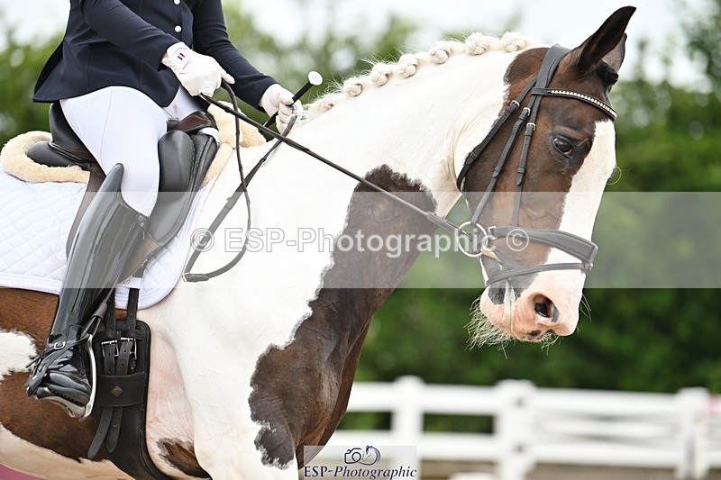 240623A-150001-19479 - Cls 51 BD Elementary 53